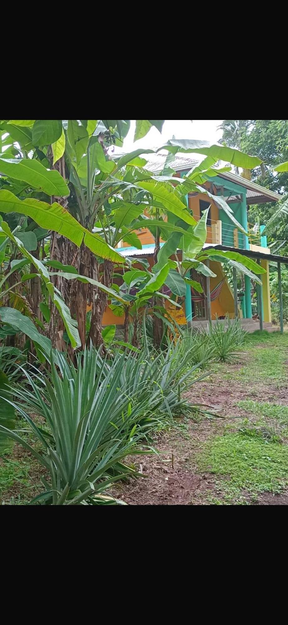The Orange House Villa South End Luaran gambar